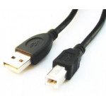 Gembird CCP-USB2-AMBM-10 USB 2.0 A-plug B-plug 10ft